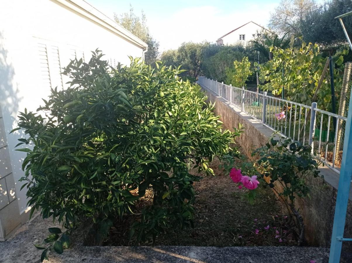 My Mediterranean Villa With Huge Garden And Own Parking Lumbarda Esterno foto